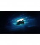 Kingston Technology 3.84TB DC3000ME U.2 PCIe 5.0 NVMe TCG Opal Enterprise SSD