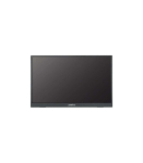 ANMITE A160W24H 16" Portable Monitor