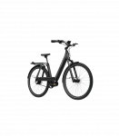 Elektrijalgratas TENWAYS AGO T, Black