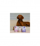 PAKA ZWIERZAKA Pepe Vet Gastrointestinal Low fat Duck - wet dog food - 400g