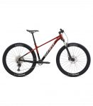 Jalgratas GIANT Talon 0, 29" Mars Dust/Black (M)