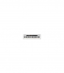 Casio CT-S200WE Digital synthesizer 61 White