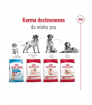 ROYAL CANIN Adult Medium - dry dog food - 4kg