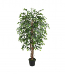 Kunstpuu WIND FICUS H150cm
