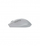 Asus WT425 MOUSE/SIL Asus