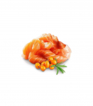 SHELMA Kitten with salmon in sauce - wet cat food - 85g