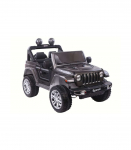 Battery Vehicle FT-938 Black Lacquer