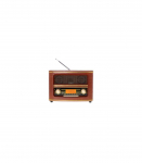 Retro-raadio  ADLER AD 1187