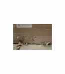 SALE OUT. LG OLED55G51LW 55 Smart TV webOS 25 UHD DAMAGED PACKAGING