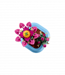 LEGO Botanicals &Otilde;itsev kaktus