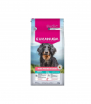 Eukanuba Special Care Mono-Protein Adult łosoś karma sucha dla psa 12kg