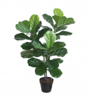 Kunstpuu FIDDLE LEAF, H100cm, 2 t&uuml;vega, must pott