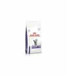 ROYAL CANIN Dental - dry cat food - 1,5kg