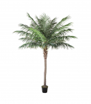 Kunstpuu WIND PALM H260cm