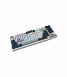 MSI FORGE GK600 TKL WIRELESS SKY Gaming Keyboard Wireless US Bluetooth 2.4 GHz, Bluetooth, USB 2.0 |