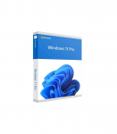 Software|MICROSOFT|Win Pro FPP 11 64-bit Eng Intl USB|Win Pro|Retail|HAV-00163