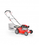 Muruniiduk HECHT 546 C