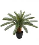 Kunsttaim CYCAS, H70cm, palmlehik, must pott