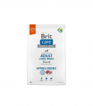 BRIT Care Hypoallergenic Adult Large Breed Lamb - dry dog food - 3 kg