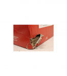 SALE OUT. Gaggia Coffee machine Classic Evo RI9481/13 , White SALE OUT. SALE OUT. Gaggia DAMAGED PACKAGING