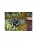 T&uuml;hjenduspump reoveele PS 15000 S, Metabo