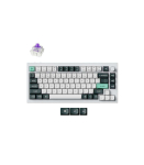 KEYBOARD WRL Q1 HE RGB/SHELL WHITE Q1H-P1 KEYCHRON