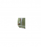 Delonghi CTOV 2103.GR Power 900 W W Green