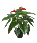 Kunsttaim ANTHURIUM, H45cm, flamingolill, must pott