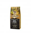 CARNILOVE Adult Salmon and turkey Large breeds - dry dog food - 4kg