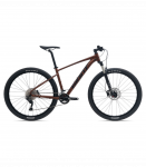 Jalgratas GIANT Talon 29 1 GE, Hematite (XL)