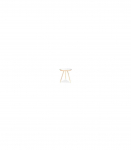 Kohvilaud BORA C peegel/kuldne 42 cm