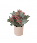 Kunsttaim GREENLAND potis, Monardad, mix