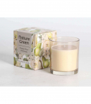 L&otilde;hnak&uuml;&uuml;nal klaasis NATURE GREEN H9,5cm, French Pear & Freesia