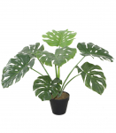 Kunsttaim MONSTERA, H60cm, must pott