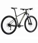Jalgratas GIANT Talon 29 2, Phantom green (M)