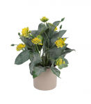 Kunsttaim GREENLAND potis, troopiline, mix