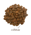 bosch Tiernahrung 4015598009225 dogs dry food 2.5 kg Adult Duck, Potato