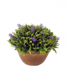 Kunsttaim GREENLAND potis, sinine &otilde;is