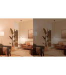 Philips Smart WFB 100W A60 E27 822-65 RGB 1PF/6 Philips Smart