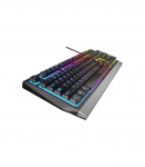 Genesis Rhod 300 RGB Black Gaming keyboard Wired RGB LED light US 1.75 m