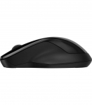 HP 250 Dual Mouse