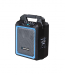 Audio system MB06 PLL Karaoke