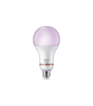 Philips Smart WFB 150W A80 E27 922-65 RGB 1PF/6 Philips Smart