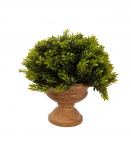 Kunsttaim GREENLAND potis, jalaga