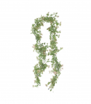 Vanik GREENLAND 180cm, heleroosad &otilde;ied