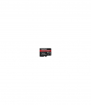MEMORY MICRO SDXC 256GB UHS-I/SDSQXFN-256G-GN4NN SANDISK