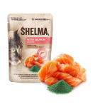 SHELMA with salmon in sauce - wet cat food - 85g