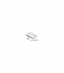 Esperanza EM120W mouse RF Wireless Optical 2400 DPI