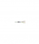 Digitus Twisted pair patch cord Grey