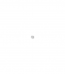 POWER ADAPTER GROUNDED 15W/WHT TPA-EU2A1C15-01-W GEMBIRD